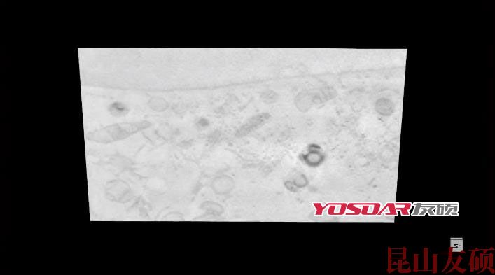 FIB昌邑扫描电镜